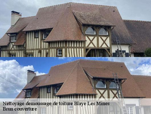 Nettoyage demoussage de toiture  blaye-les-mines-81400 Brun couverture