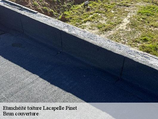 Etanchéité toiture  lacapelle-pinet-81340 Brun couverture