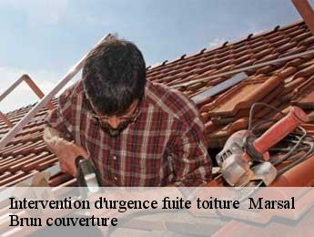 Intervention d'urgence fuite toiture   marsal-81430 Brun couverture