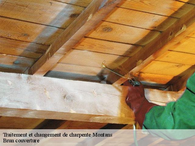 Traitement et changement de charpente  montans-81600 Brun couverture